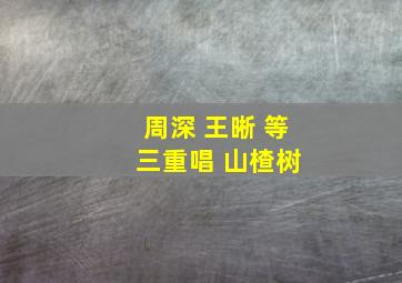 周深 王晰 等 三重唱 山楂树